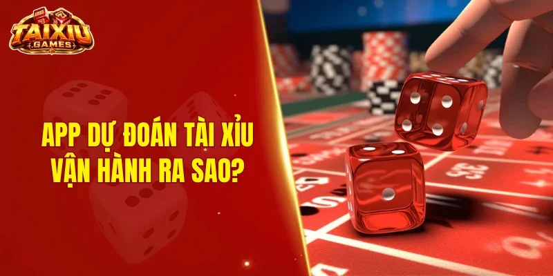 App dự đoán tài xỉu vận hành ra sao?