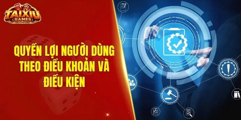 Quyền lợi người dùng theo điều khoản và điều kiện